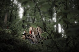 Elmar Witt Fotografie