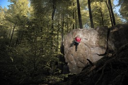 Elmar Witt Fotografie