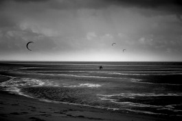 Elmar Witt Fotografie