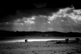 Elmar Witt Fotografie