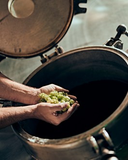 Elmar Witt Fotografie