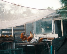 Elmar Witt Fotografie