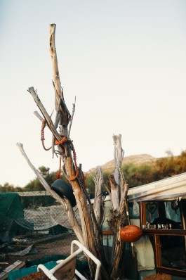 Elmar Witt Fotografie