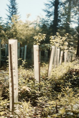 Elmar Witt Fotografie