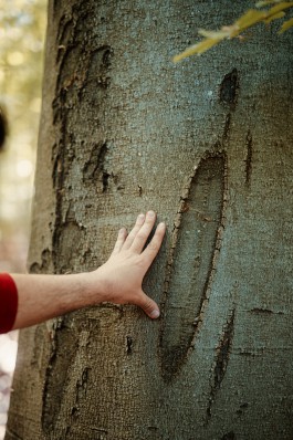 Elmar Witt Fotografie