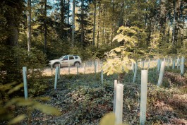 Elmar Witt Fotografie