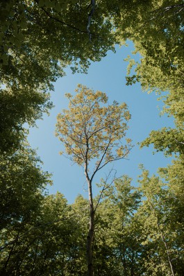 Elmar Witt Fotografie