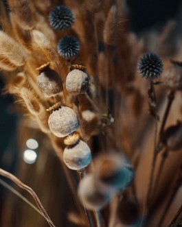 Elmar Witt Fotografie