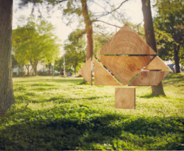 Elmar Witt Fotografie