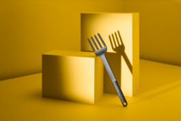 Elmar Witt Fotografie