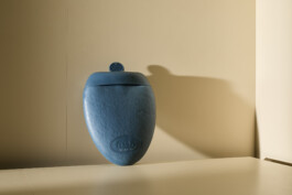 Elmar Witt Fotografie