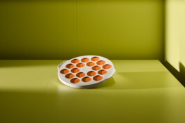 Elmar Witt Fotografie