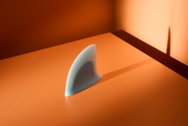 Elmar Witt Fotografie